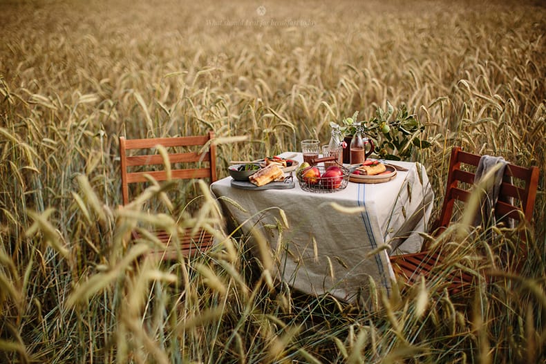 Breakfast between fields